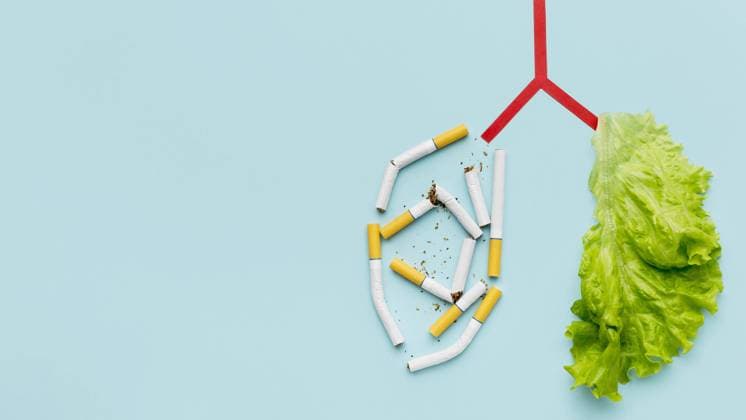 lungs shape with salad cigarettes copy space . High quality and resolution beautiful photo concept lungs shape with salad cigarettes copy space . Resolution and high quality beautiful photo Copyright: xZoonar.com OleksandrxLatkunx 17844270