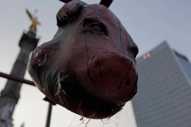 Activists Demonstrate Against Animal Slaughterhouses In Mexico View of a prop pig s head made by activists from the organisation Animal Save Mexico, during a protest in front of the Angel of Independence in Mexico City, against animal slaughterhouses in Mexico. Mexico City Mexico City Mexico  Copyright: xGerardoxVieyrax originalFilename: vieyra-notitle221216_npRq5.jpg