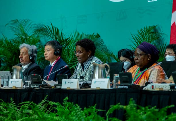 The executive secretary of the Convention on Biological Diversity, Elizabeth Maruma Mrema (C); and the president of the UN Conference on Biodiversity COP15, the Chinese Huang Rinqiu (2-L), take part in a session in Montreal, Canada, 17 December 2022. Differences over financing continue to prevent consensus at the UN Conference on Biodiversity COP15 with 48 hours to go before the meeting concludes, although this Saturday the president of the negotiations, the Chinese Huang Rinqiu, was confident that an agreement would be reached. Biodiversity finance continues to block agreement at COP15 !ACHTUNG: NUR REDAKTIONELLE NUTZUNG!  Copyright: xJulioxCésarxRivasx(es-ES)x AME1387 20221218-8fac1bcb9e40da07df97f05d685cc797cec5a1c5