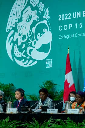 The executive secretary of the Convention on Biological Diversity, Elizabeth Maruma Mrema (C); and the president of the UN Conference on Biodiversity COP15, the Chinese Huang Rinqiu (L), take part in a session in Montreal, Canada, 17 December 2022. Differences over financing continue to prevent consensus at the UN Conference on Biodiversity COP15 with 48 hours to go before the meeting concludes, although this Saturday the president of the negotiations, the Chinese Huang Rinqiu, was confident that an agreement would be reached. Biodiversity finance continues to block agreement at COP15 !ACHTUNG: NUR REDAKTIONELLE NUTZUNG!  Copyright: xJulioxCésarxRivasx(es-ES)x AME1389 20221218-225d151502eaced762db369609f212a17dab91ac