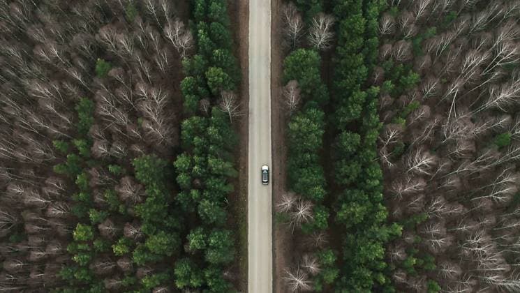 IMAGO Creative, Jahreszeit Herbst auf dem Land Road through mixed forest, drone aerial view Fir forest and bare deciduous trees and road with car from above. Fall winter season. Mixed forest road, drone top view Copyright: xZoonar.com OlgaxSergeevax 17848583