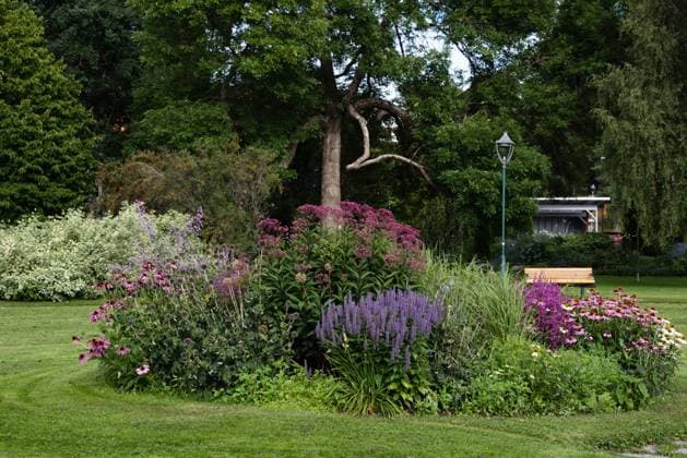 Stadtpark in Arvika, einem Ort im Zentrum von Westvärmland am See Glafsfjorden. Der Park wurde 1913 angelegt und lädt Besucher und Familien zum Erholen ein.Bunte Blumen blühen in runden Beeten: Koreaminze, Purpur-Dost, Blutweiderich, Roter Sonnenhut Arvika - Ort und Gemeinde in Värmland *** City park in Arvika, a town in the center of West Värmland by the lake Glafsfjorden The park was created in 1913 and invites visitors and families to relax Colorful flowers bloom in round beds Koreaminze, purple dost, purple loosestrife, red coneflower Arvika town and municipality in Värmland