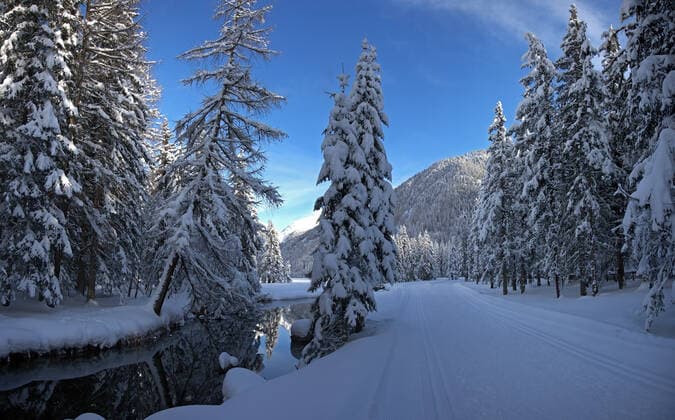 Winterzauber Winterzauber Copyright: xZoonar.com SieghartxMairx 629029