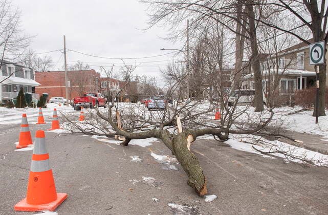 December 24, 2022, Montreal, PQ, Canada: Fallen branches block a street in Montreal, Saturday, Dec. 24, 2022, following a winter storm in the region. Montreal Canada  - ZUMAc35_ 20221224_zaf_c35_007 Copyright: xGrahamxHughesx