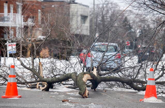 December 24, 2022, Montreal, PQ, Canada: Fallen branches block a street in Montreal, Saturday, Dec. 24, 2022, following a winter storm in the region. Montreal Canada  - ZUMAc35_ 20221224_zaf_c35_008 Copyright: xGrahamxHughesx