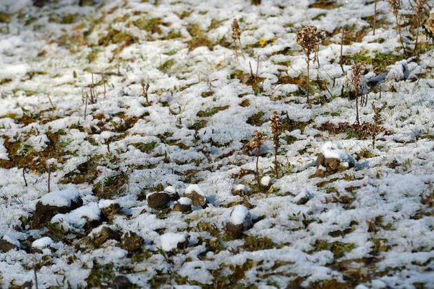 December 26 in Zinacantepec, Mexico : Due to the low temperatures caused by the cold front number 19, the community of La Joya located in the lower part of the volcano Xinantecatl received its first snowfall of the year. on December 26 in Zinacantepec , Mo xico. Zinacantepec Mexico - ZUMAe321 20221226_zia_e321_080 Copyright: xArturoxHernandezx