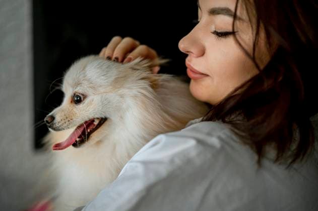 Creative Highlights Symbolbilder Young woman with Pomeranian dog model released, Symbolfoto property released, ANAF00746