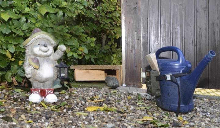 IMAGO Creative: Jahreszeit Herbst, Igel beziehen Winterquartier Rees: Familie Linssen kümmert sich um Igel <p>Rees: Familie Linssen kümmert sich um Igel Sandra und Andreas Linssen präsentieren am 23.10.2020 die Giesskanne mit Wildkamera und das selbstgebaute Igelhaus in ihrem Garten Zum Lohr in Rees. Deutschland Rees Copyright: JudithxMichaelis NUR FÜR REDAKTIONELLE ZWECKE *** Rees Family Linssen cares itself at Hedgehog P Rees Family Linssen cares itself at Hedgehog Sandra and Andreas Linssen present on 23 10 2020 the Watering can with Wild camera and the Self-Built Hedgehog house in their Garden to Lohr in Rees Germany Rees Copyright JudithxMichaelis only for Editorial Purpose Copyright: JudithxMichaelis doc7cvz33icr9cd3sq5102q EDITORIAL USE ONLY