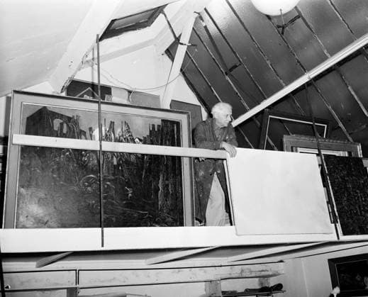 RECORD DATE NOT STATED Max Ernst, Dimitriscu Istrati. Photographs of Marshall Plan Programs, Exhibits, and Personnel Copyright: xpiemagsx marshplanpie21122022-17762 !ACHTUNG AUFNAHMEDATUM GESCHÄTZT!