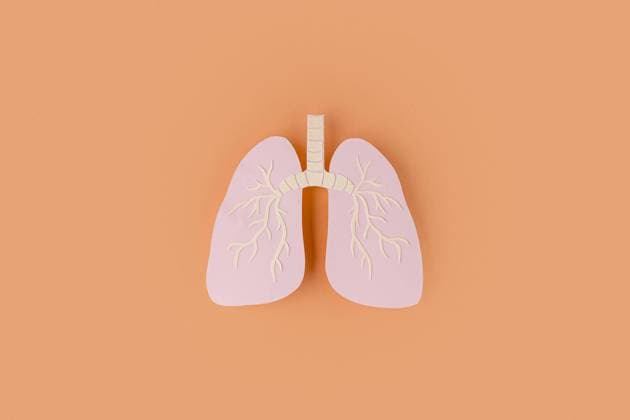 paper made lungs isolated orange. High quality beautiful photo concept paper made lungs isolated orange. Resolution and high quality beautiful photo Copyright: xZoonar.com OleksandrxLatkunx 18266657
