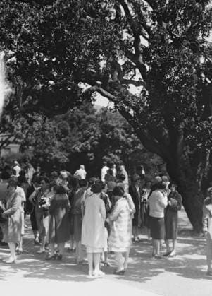 RECORD DATE NOT STATED University of California at Berkeley views, 1927 Creator: Arnold Genthe. Copyright:xHeritagexArt HeritagexImagesx IMAGO ,2944802 ! ACHTUNG: AUFNAHMEDATUM GESCHÄTZT!  Copyright:HeritagexArt HeritagexImagesx IMAGO