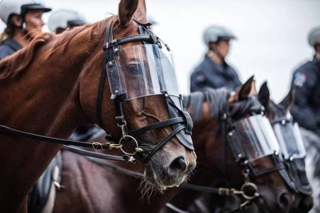 Willich - NRW-Innenminister Herbert Reul besucht die Landesreiterstaffel *** NUR FÜR REDAKTIONELLE ZWECKE *** EDITORIAL USE ONLY ***<p>Der Innenminister von NRW, Herbert Reul besucht die Polizeireiter der Landesreiterstaffel in Willich am Mittwoch den 15.08.2018. Die Reiterstaffel trainiert für den Einsatz auf Demonstrationen und zur deeskalation. Deutschland NRW Willich Copyright: LarsxHeidrich *** Willich NRW Minister of the Interior Herbert Reul visits the National Riding Relay *** ONLY FOR EDITORIAL PURPOSE *** EDITORIAL USE ONLY *** P the Minister of the Interior from NRW, Herbert Reul visits the Police riders the National Riding Relay in Willich on Wednesday the 15 08 2018 the Rider Relay trained for the Deployment at Demonstration Copyright: LarsxHeidrich doc71gqmxcjkky1h0i7219aa EDITORIAL USE ONLY