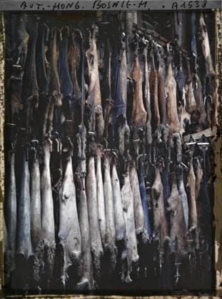 RECORD DATE NOT STATED Sarajevo, Bosnia and Herzegovina The Tanneries , 1912 - Balkans, Italy - Jean Brunhes and Auguste LÃ on - (October 13 - 27) (French - ï»¿Sarajevo , Bosnie-HerzÃ govine Les tanneries). Factory , workshop, real animal, crafts, skins , tannery, Habitat , architecture, animal, economic activity, Bosnia, Sarajevo, Tanneries Copyright: xpiemagsx AKahnlpie020223-6370 !ACHTUNG AUFNAHMEDATUM GESCHÄTZT!