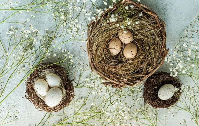 Top view of easter holiday card with nest and eggs on concrete background AnnaBogush_ID12663_384636_011 Copyright: xAnnaxBogushx Model Released