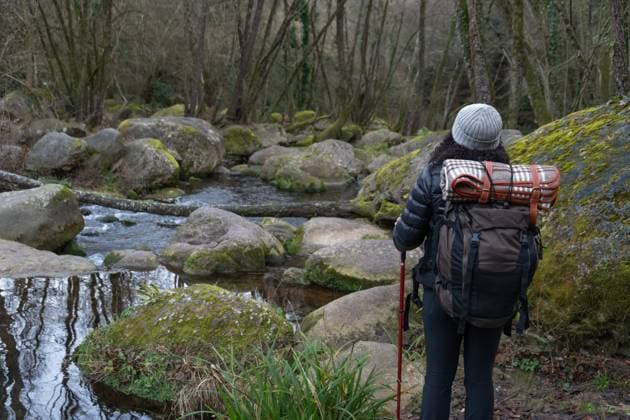 Back view of anonymous woman hiker with backpack and trekking poles standing on rocky shore of lake in autumn forest during hiking trip, Model released TeoTarras_ID12564_381788_089 Copyright: xTeoxTarrasx MR