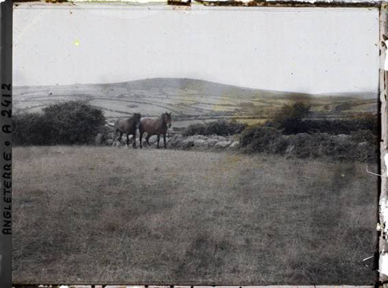 RECORD DATE NOT STATED Cornwall, England two horses , 1913 - England - Auguste LÃ on - (August 28 - September 3) (French - ï»¿Cornouailles , Angleterre Deux chevaux). Horse, real animal, agriculture , breeding, shipwrecked image, Animal, economic activity, England Copyright: xpiemagsx AKahnlpie020223-3085 !ACHTUNG AUFNAHMEDATUM GESCHÄTZT!