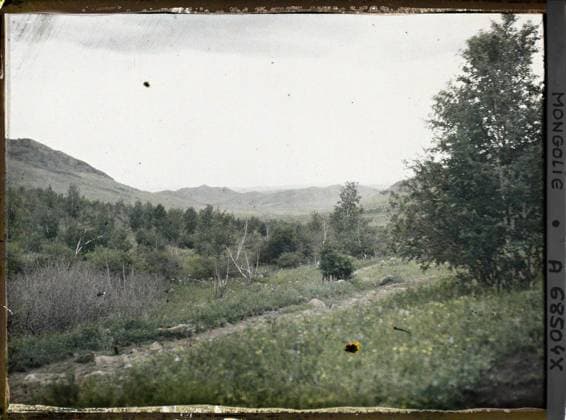 RECORD DATE NOT STATED Between Kiakhta and Ourga, TransbaÃ¯kalie, Mongolia seen from Taiga with mountains in the background , 1913 - Mongolia - StÃ phane Passet - (July 6-25) (French - ï»¿Entre Kiakhta et Ourga , TransbaÃ¯kalie , Mongolie Vue de la taÃ¯ga avec des montagnes Ã l arriere-plan). Landscape, Mont , Mountain, Nature , Environment Copyright: xpiemagsx AKahnlpie020223-1645 !ACHTUNG AUFNAHMEDATUM GESCHÄTZT!