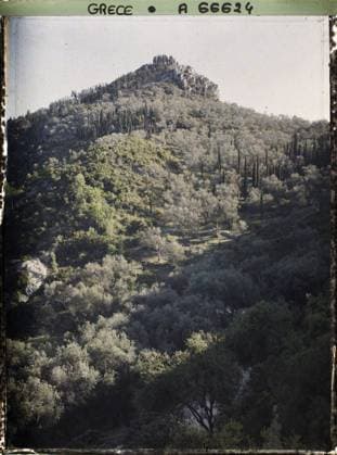 RECORD DATE NOT STATED Corfu, Greece wood of olive trees , 1913 - Balkans, Italy - Jean Brunhes and Auguste LÃ on - (September - October 23) (French - ï»¿Corfou , Grece Bois d oliviers). Landscape, Mont , Mountain, Forest , Wood, Vegetation , botany, Nature , Environment, Greece, Corfu, olive wood Copyright: xpiemagsx AKahnlpie020223-1416 !ACHTUNG AUFNAHMEDATUM GESCHÄTZT!