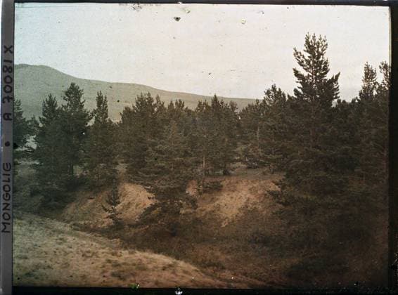RECORD DATE NOT STATED Between Kiakhta and Ourga, TransbaÃ¯kalie La Taiga , 1913 - Mongolia - StÃ phane Passet - (July 6-25) (French - ï»¿Entre Kiakhta et Ourga , TransbaÃ¯kalie La taÃ¯ga). Landscape, pine, home, Nature , Environment, Habitat , Architecture Copyright: xpiemagsx AKahnlpie020223-1673 !ACHTUNG AUFNAHMEDATUM GESCHÄTZT!