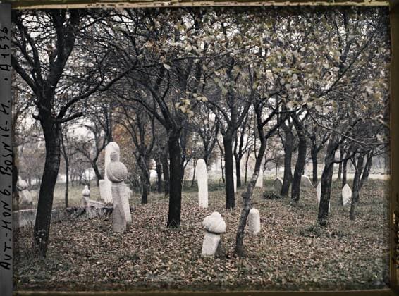 RECORD DATE NOT STATED Sarajevo, Bosnia and Herzegovina Muslim cemetery , 1912 - Balkans, Italy - Jean Brunhes and Auguste LÃ on - (October 13 - 27) (French - ï»¿Sarajevo , Bosnie-HerzÃ govine Cimetiere musulman). Cemetery, forest , wood, funeral architecture, Islam, religious architecture, Habitat , Architecture , Religion, Bosnia, Sarajevo, Muslim cemetery Copyright: xpiemagsx AKahnlpie020223-6369 !ACHTUNG AUFNAHMEDATUM GESCHÄTZT!