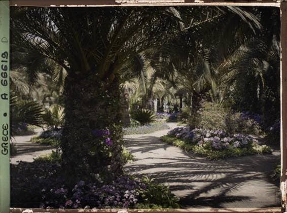 RECORD DATE NOT STATED Corfu, Greece the Achilleion - Les Jardins , 1913 - Balkans, Italy - Jean Brunhes and Auguste LÃ on - (September - October 23) (French - ï»¿Corfou , Grece L Achilleion - Les Jardins). Palm , palm grove, flower, villa, park , garden, flowerbed, palace , castle, vegetation , botany, Habitat , architecture, nature , environment, Greece, Corfu, Achilleion - Les Jardins Copyright: xpiemagsx AKahnlpie020223-1411 !ACHTUNG AUFNAHMEDATUM GESCHÄTZT!