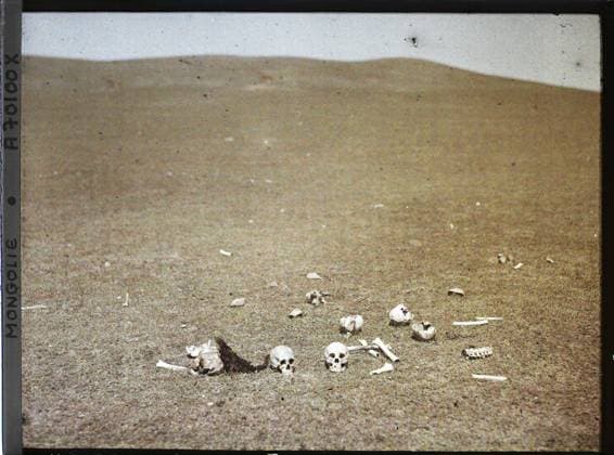 RECORD DATE NOT STATED Ourga or surroundings of Ourga, Mongolia of human bones , 1913 - Mongolia - StÃ phane Passet - (July 6-25) (French - ï»¿Ourga ou environs d Ourga , Mongolie Des ossements humains). Landscape, corpse , skeleton, Nature , Environment Copyright: xpiemagsx AKahnlpie020223-1691 !ACHTUNG AUFNAHMEDATUM GESCHÄTZT!