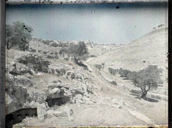 RECORD DATE NOT STATED South of Jerusalem, Palestine landscape in the Hinnom valley to Haceldama (?) , 1918 - Near East, Egypt, Palestine, Cyprus - Paul Castelnau (photographic section of the armies) - (January 9 -October 6) (French - ï»¿Sud de JÃ rusalem , Palestine Paysage dans la vallÃ e de Hinnom vers Haceldama ( ? )). Landscape, Judaism, Valley, Legend , Myth, Fruit, Olivier, Nature , Environment, Religion, Art, Palestine, sending Jerusalem, surroundings of Jerusalem far from Haceldana, valley of Gehenne or Hinnom Copyright: xpiemagsx AKahnlpie020223-5099 !ACHTUNG AUFNAHMEDATUM GESCHÄTZT!
