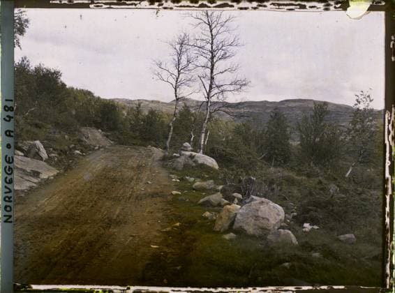 RECORD DATE NOT STATED Near Rjukan, Norway on the road , 1910 - Voyage of Albert Kahn and Auguste LÃ on in Scandinavia - (August 9 - September 14) (French - ï»¿Pres de Rjukan , Norvege sur la route). Landscape, road, forest , wood, Nature , Environment, They rjukan au lac de mousewife Copyright: xpiemagsx AKahnlpie020223-15987 !ACHTUNG AUFNAHMEDATUM GESCHÄTZT!