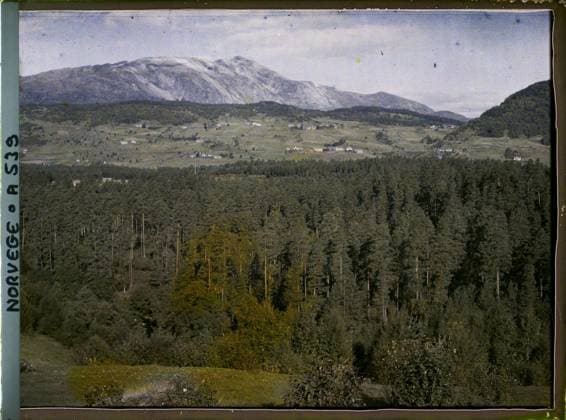 RECORD DATE NOT STATED Fiven, Norway? Landscape with Fine Grows? , 1910 - Voyage of Albert Kahn and Auguste LÃ on in Scandinavia - (August 9 - September 14) (French - ï»¿Environs de Finse , Norvege? Paysage aux envrons de Finse?). Landscape, Mont , Mountain, Conifer, Forest , Wood, agglomeration panorama, vegetation , botany, Nature , Environment, Habitat , Architecture, Route de Eide in your Copyright: xpiemagsx AKahnlpie020223-15527 !ACHTUNG AUFNAHMEDATUM GESCHÄTZT!