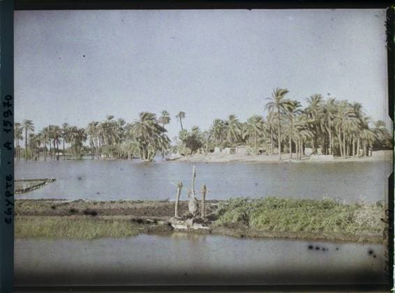 RECORD DATE NOT STATED Surroundings of Louqor, Egypt, Nile raw Africa near Louqor , 1918 - Near East, Egypt, Palestine, Cyprus - Paul Castelnau (photographic section of the armies) - (January 9 -October 6) (French - ï»¿Environs de Louqsor , Egypte , Afrique Crue du Nil pres de Louqsor). River, irrigation, palm , palm grove, natural phenomenon, flood, hydraulic installation, Nature , Environment, Habitat , Architecture, Egypt, near Louqsor, raw of the Nile near Louqor Copyright: xpiemagsx AKahnlpie020223-8117 !ACHTUNG AUFNAHMEDATUM GESCHÄTZT!