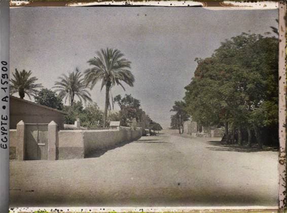 RECORD DATE NOT STATED IsmaÃ¯lia, Egypt, Africa a street in the city , 1918 - Near East, Egypt, Palestine, Cyprus - Paul Castelnau (photographic section of the armies) - (January 9 -October 6) (French - ï»¿IsmaÃ¯lia , Egypte , Afrique Une rue de la ville). Palm , palm grove, route, western type architecture, street , neighborhood, vegetation , botany, Habitat , architecture, nature , environment, Egypt, IsmaÃ¯lia, rue d IsmaÃ¯lia Copyright: xpiemagsx AKahnlpie020223-6996 !ACHTUNG AUFNAHMEDATUM GESCHÄTZT!