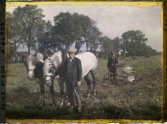 RECORD DATE NOT STATED Maffliers , France , 1930 - Ile -de -France - StÃ phane Passet - (September -October) (French - ï»¿Maffliers , France). Horse, real animal, agriculture , breeding, work scene, rural life, team, field, peasant, work clothing, agricultural equipment, man, Animal, economic activity, daily life, clothing, human beings, Ile de France, Maffliers, Hitch and Plow tearing up potatoes Copyright: xpiemagsx AKahnlpie020223-22516 !ACHTUNG AUFNAHMEDATUM GESCHÄTZT!