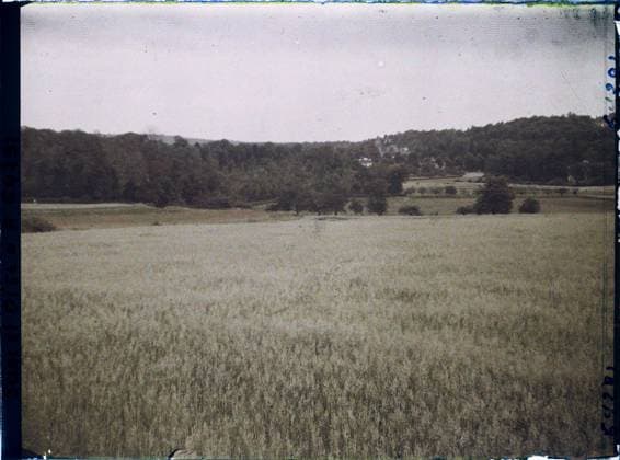 RECORD DATE NOT STATED Presles, France , 1930 - Ile -de -France - StÃ phane Passet - (May 1, July 8) (French - ï»¿Presles , France). Landscape, agriculture , breeding, forest , wood, field, Nature , environment, economic activity, Ile de France, Presles, La Plaine and La Hill de Presles Copyright: xpiemagsx AKahnlpie020223-22390 !ACHTUNG AUFNAHMEDATUM GESCHÄTZT!