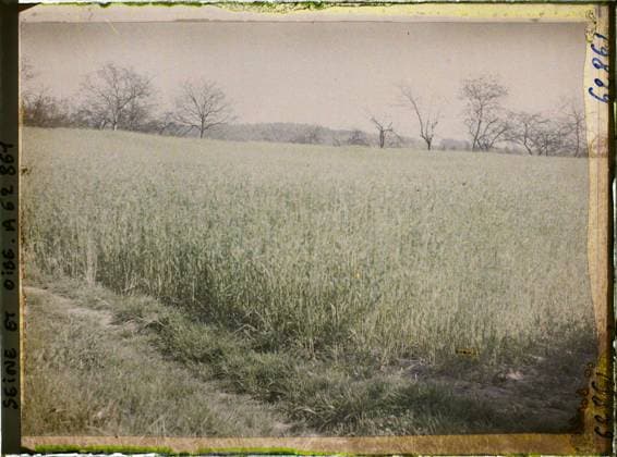 RECORD DATE NOT STATED Saint-Nom-la-Breteche, France , 1930 - Ile -de -France - StÃ phane Passet - (June 28 -July 8) (French - ï»¿Saint-Nom-la-Breteche , France). Agriculture , Breeding, field, vegetation , botany, Economic activity, nature , environment, Seine et Oise, St Nom la Breteche, wheat field on the hillsides Copyright: xpiemagsx AKahnlpie020223-22202 !ACHTUNG AUFNAHMEDATUM GESCHÄTZT!