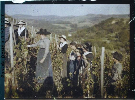 RECORD DATE NOT STATED Sauvagnat, France , 1916-1917 - Auvergne - StÃ phane Passet - (September 1916 - February 1917) (French - ï»¿Sauvagnat , France). Work of women, women, agriculture , breeding, work scene, child, rural life, harvest, peasant, child work, work clothing, hairstyle , headgear, vineyard, Society, human beings, economic activity, daily life, clothing Copyright: xpiemagsx AKahnlpie020223-9549 !ACHTUNG AUFNAHMEDATUM GESCHÄTZT!