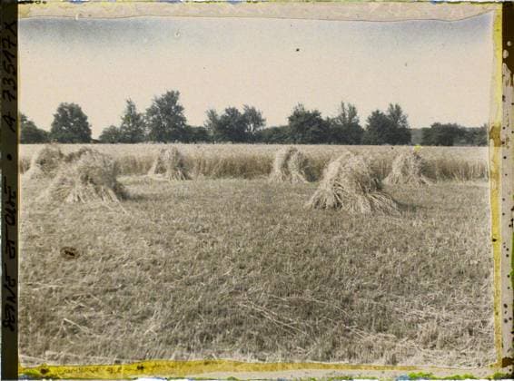 RECORD DATE NOT STATED BouffÃ mont (?), France , 1930 - Ile -de -France - StÃ phane Passet - (June 28 -July 8) (French - ï»¿BouffÃ mont ( ? ) , France). Agriculture , Breeding, Hay, Field, Economic activity Copyright: xpiemagsx AKahnlpie020223-22617 !ACHTUNG AUFNAHMEDATUM GESCHÄTZT!