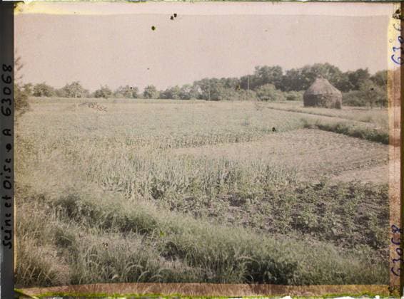 RECORD DATE NOT STATED Vaux, France , 1930 - Ile -de -France - StÃ phane Passet - (June 28 -July 8) (French - ï»¿Vaux , France). Agriculture , Breeding, Hay, Field, Vegetation , Botanical, Potager, Economic activity, nature , environment, Ile de France, Vaux, various cultures Copyright: xpiemagsx AKahnlpie020223-22342 !ACHTUNG AUFNAHMEDATUM GESCHÄTZT!