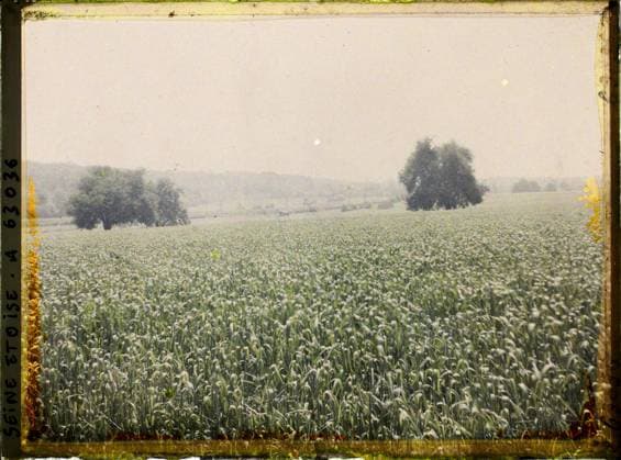 RECORD DATE NOT STATED Special, France , 1930 - Ile -de -France - StÃ phane Passet - (May 1, July 8) (French - ï»¿Ecouen , France). Landscape, agriculture , breeding, field, vegetation , botany, Nature , environment, economic activity, Ile de France, Ecouen, wheat field Copyright: xpiemagsx AKahnlpie020223-22313 !ACHTUNG AUFNAHMEDATUM GESCHÄTZT!