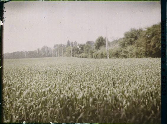 RECORD DATE NOT STATED Special, France , 1930 - Ile -de -France - StÃ phane Passet - (May 1, July 8) (French - ï»¿Ecouen , France). Agriculture , Breeding, field, vegetation , botany, Economic activity, nature , environment, Ile de France, Ecouen, wheat field Copyright: xpiemagsx AKahnlpie020223-22311 !ACHTUNG AUFNAHMEDATUM GESCHÄTZT!