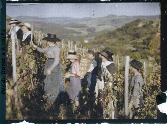 RECORD DATE NOT STATED Sauvagnat, France , 1916-1917 - Auvergne - StÃ phane Passet - (September 1916 - February 1917) (French - ï»¿Sauvagnat , France). Work of women, women, agriculture , breeding, work scene, child, rural life, harvest, peasant, child work, work clothing, hairstyle , headgear, vineyard, Society, human beings, economic activity, daily life, clothing, France, Sauvagnat, group of harvest Copyright: xpiemagsx AKahnlpie020223-9975 !ACHTUNG AUFNAHMEDATUM GESCHÄTZT!