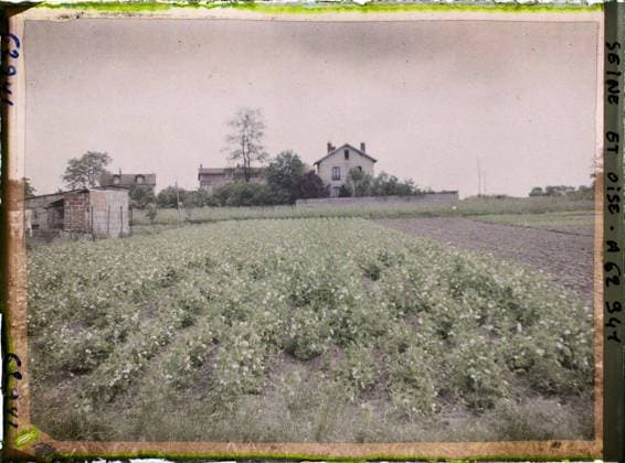 RECORD DATE NOT STATED FrÃ pillon, France , 1930 - Ile -de -France - StÃ phane Passet - (May 1, July 8) (French - ï»¿FrÃ pillon , France). Agriculture , breeding, field, rural architecture, home, vegetation , botany, Economic activity, Habitat , Architecture, Nature , Environment, Ile de France, Frepillon, pea field Copyright: xpiemagsx AKahnlpie020223-22247 !ACHTUNG AUFNAHMEDATUM GESCHÄTZT!
