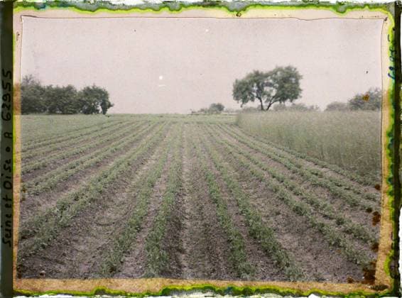 RECORD DATE NOT STATED FrÃ pillon, France , 1930 - Ile -de -France - StÃ phane Passet - (May 1, July 8) (French - ï»¿FrÃ pillon , France). Agriculture , breeding, field, vegetation , botany, vegetable patch, Economic activity, nature , environment, Ile de France, Frepillon, wheat and pea Copyright: xpiemagsx AKahnlpie020223-22262 !ACHTUNG AUFNAHMEDATUM GESCHÄTZT!