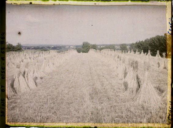 RECORD DATE NOT STATED Poissy, France , 1930 - Ile -de -France - StÃ phane Passet - (June 28 -July 8) (French - ï»¿Poissy , France). Landscape, agriculture , breeding, hay, field, Nature , environment, economic activity, Ile de France, Poissy, harvesting rye Copyright: xpiemagsx AKahnlpie020223-22272 !ACHTUNG AUFNAHMEDATUM GESCHÄTZT!