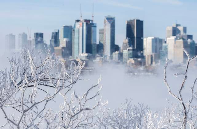 February 4, 2023, Montreal, PQ, Canada: Ice is shown on the branches of trees as the Montreal skyline looms in the background during frigid temperatures in Montreal, Saturday, February 4, 2023. Environment Canada has issued an extreme cold weather warning for the region. Montreal Canada  - ZUMAc35_ 20230204_zaf_c35_005 Copyright: xGrahamxHughesx