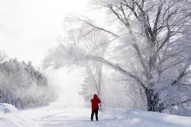 February 4, 2023, Montreal, PQ, Canada: A person takes photographs in a park during frigid temperatures in Montreal, Saturday, February 4, 2023. Environment Canada has issued an extreme cold weather warning for the region. Montreal Canada  - ZUMAc35_ 20230204_zaf_c35_012 Copyright: xGrahamxHughesx