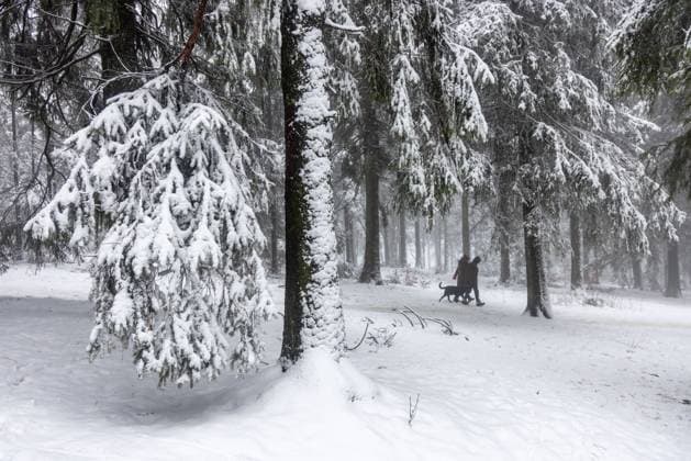 News Themen der Woche KW05 Schnee im Taunus Nach Schneefällen am Sonntag zeigt sich die Landschaft rund um den Großen Feldberg im Taunus wieder winterlich., Schmitten Hessen Deutschland *** Snow in the Taunus After snowfall on Sunday, the landscape around the Great Feldberg in the Taunus shows again wintry , Schmitten Hesse Germany
