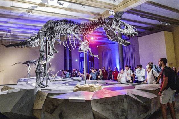 <p>Lange Nacht der Museen, Besucher schauen sich im Naturkundemuseum den Tyrannosaurus Rex Tristan an. fotografiert am 27. August 2022 in Berlin. Deutschland Berlin Berlin Copyright: MaurizioxGambarini