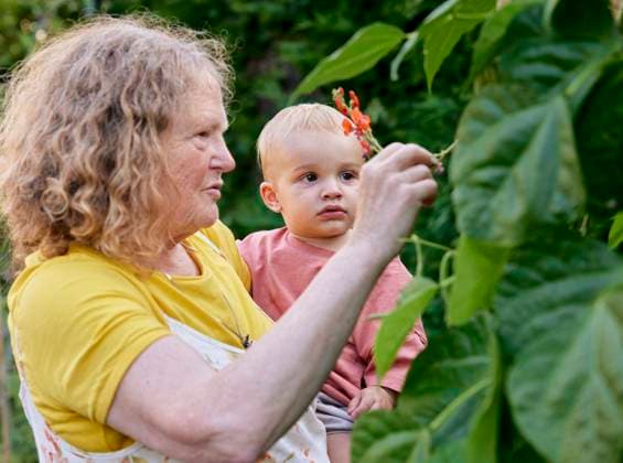 IMAGO Creative: Sommer, Sommertage im Garten Grandmother looking at flower with toddler in garden Bristol,United Kingdom,Grandmother looking at flower with toddler in garden  Grandmother looking at flower with toddler in garden