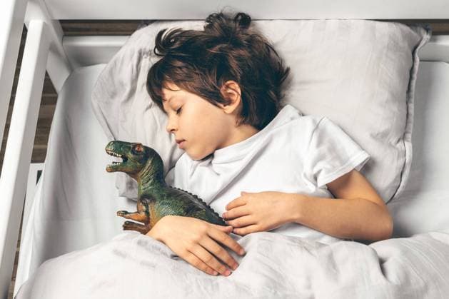 RECORD DATE NOT STATED Cute 6 year old boy is sleeping in his bed with a toy dinosaur, model released, , 44300448.jpg, 6 years, adorable, asleep, bed, bedroom, bedtime, boy, caucasian, child, children lying on a bed, cute, dinosaur, favorite toy, kid, lie on bed, lying, nap, one person, resting, sleep in bed, sleeping, sleepyhead, toy, preschooler, cozy, get ready for bed, attributes, enjoy