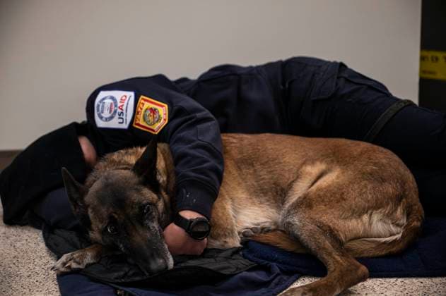 News Bilder des Tages February 7, 2023, Dover, DE, United States: A civilian Urban Search and Rescue member from Fairfax County, Virginia, rests with her search canine prior to boarding a U.S Air Force C-17 Globemaster III cargo aircraft at Dover Air Force Base, February 7, 2023 in Dover, Delaware. The U.S. Agency for International Development is mobilizing emergency humanitarian assistance to respond to the massive destruction following a 7.8 earthquake in Turkey. Dover United States - ZUMAp138 20230207_zaa_p138_007 Copyright: xSsgt.xMarcoxGomez UsxAirx
